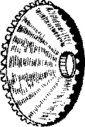 ǰյƵ_ǰյƵ