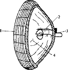 ǰյƵ_ǰյƵ