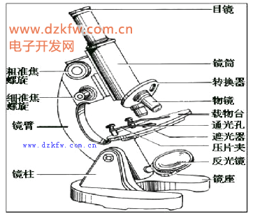 显微镜结构说明